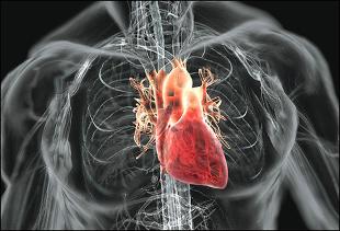 La enfermedad Cardiovascular